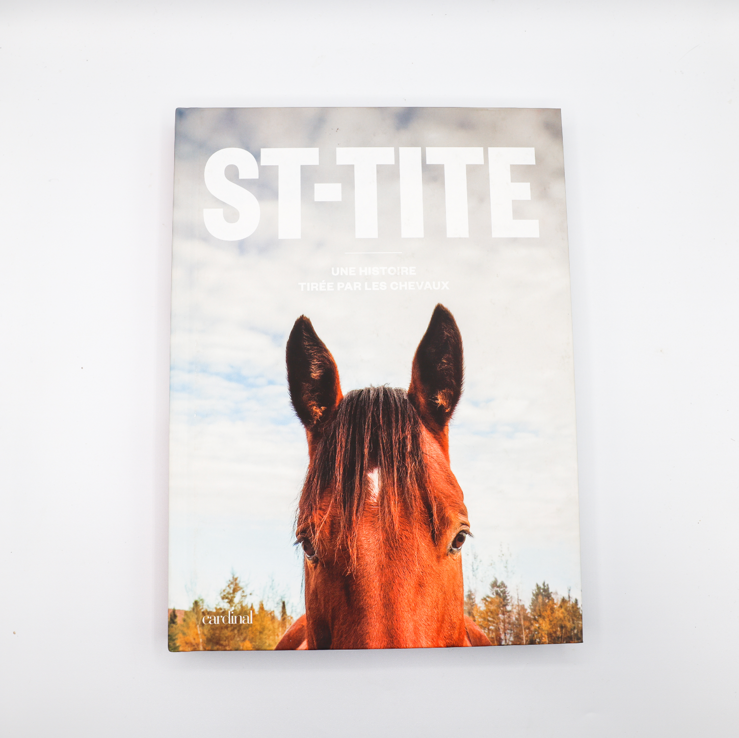 St-Tite : une histoire tirée par les chevaux